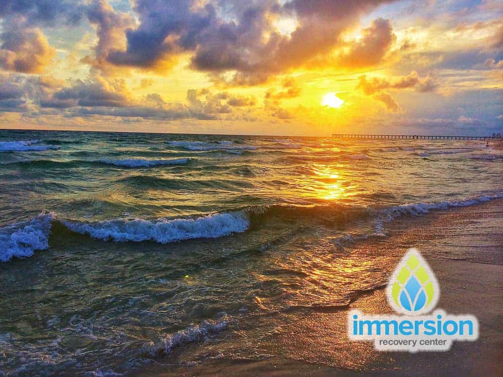 Best rehab in Florida; Best drug treatment; best alcohol treatment; drug & alcohol treatment; addiction treatment; The Immersion Program